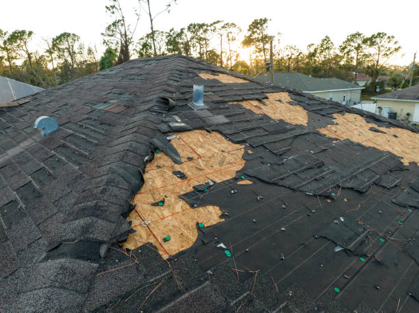 Best Asphalt Shingle Roofing  in Amboy, WA